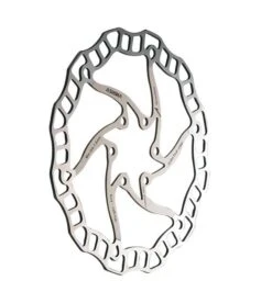 Disco Freno Ashima ARO-08 6 Fori