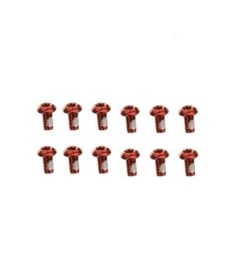 Kit Viti Torx Fissaggio Disco Rosso Anodizzato 12 Pezzi